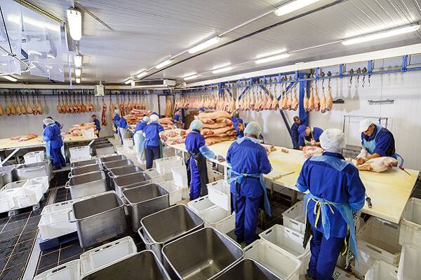 Meat and Poultry